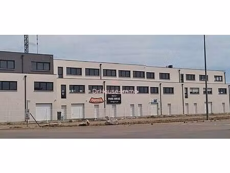 lyon severine dr house