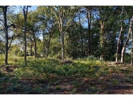 terrain constructible viabilisé à vendre