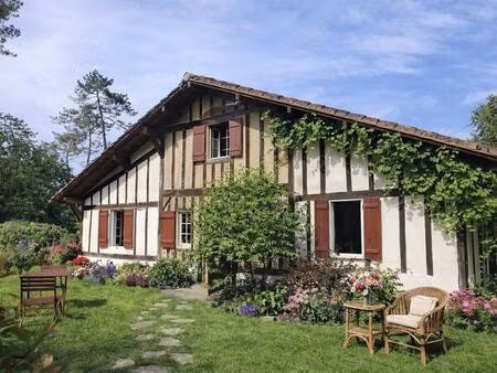 wattine immobilier