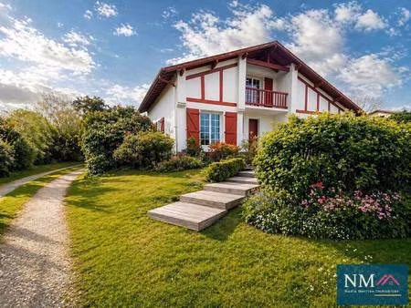 nm immobilier