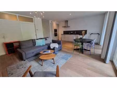 apt meublé terrasse  quartier châtelain/louise