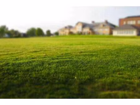 vente terrain à quilly (44750) : à vendre / quilly