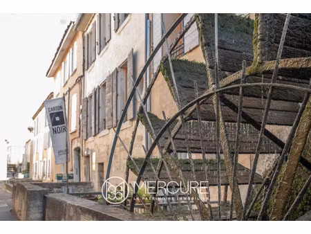 maison de luxe à vendre dans le quartier velorgues-petit palais
