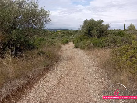 terrain non constructible 3660m2 cournonterral