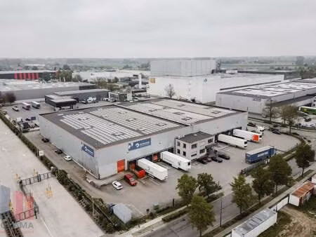bien professionnel à louer à londerzeel € 16.835 (lo56e) - panorama b2b brussel industrie 