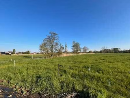 weide perceel van 4215 m²