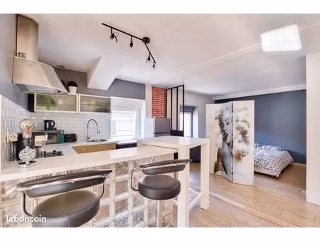 bel appartement luminieux t3 (secteur lyon vaise)
