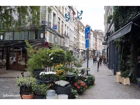 perle rare au cœur du vieux-lille – t3 lumineux & meublé