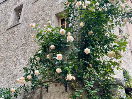 maison à vendre à flayosc (83780) - var