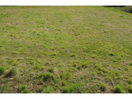 vente terrain à trégunc (29910) : à vendre / trégunc