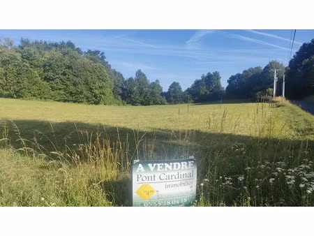 vente terrain 2352 m² à juillac (19350)  11 000 €