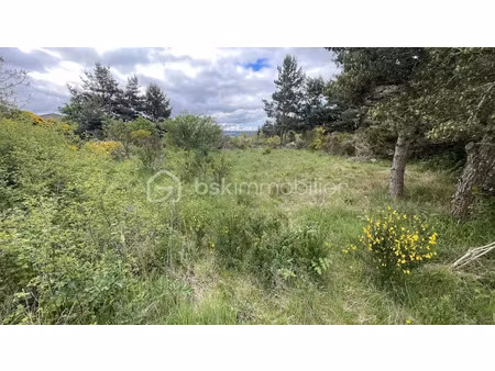 vente terrain 920 m² à saint-alban-sur-limagnole (48120)  15 500 €