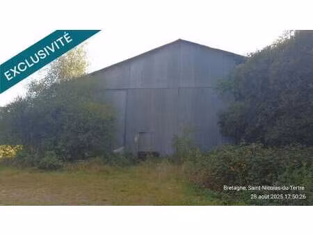 vente bureaux et commerces à saint-nicolas-du-tertre (56910) : à vendre / saint-nicolas-du