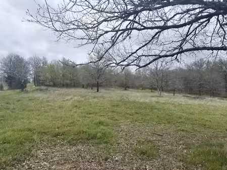 vente terrain 30822 m² à hautefort (24390)  77 000 €