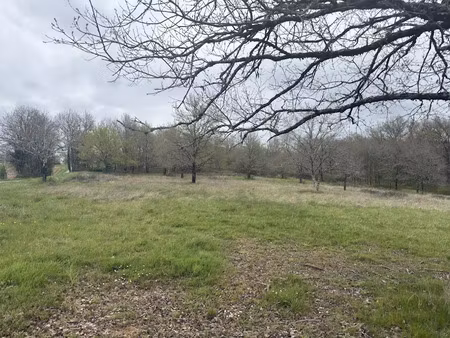 vente terrain à hautefort (24390)  77 000 €