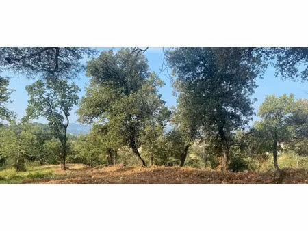 vente terrain 313 m² à mondragon (84430)  53 900 €