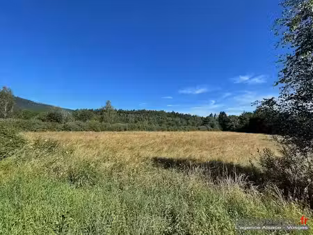 vente terrain à batir 4259 m² à saulcy-sur-meurthe (88580)  35 000 €