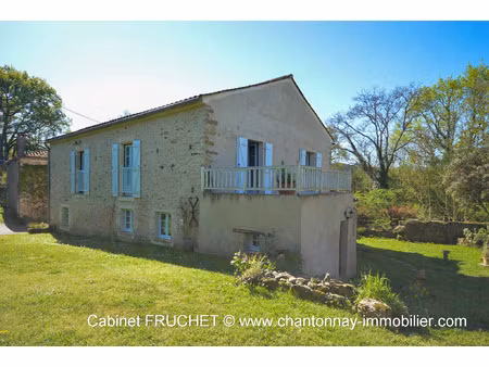 vente maison 7 pièces 220 m² bazoges-en-pareds (85390)