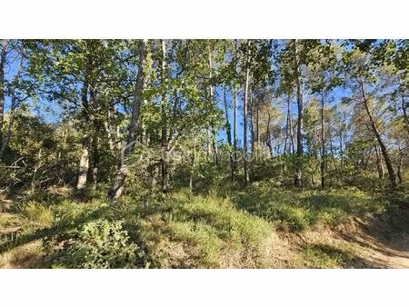 terrain de 8 430 m² à entrecasteaux