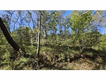 terrain de 8 850 m² à entrecasteaux