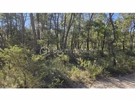 terrain de 9 000 m² à entrecasteaux