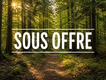 terrain de 8 200 m² à brunet