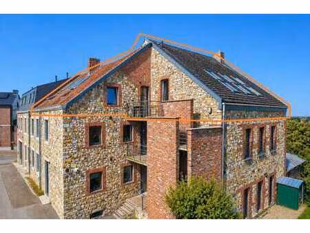 duplex 2 à 3 ch. avec terrasse