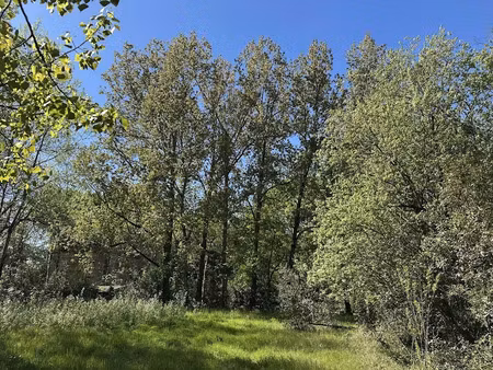 vente terrain à saint-hilaire-de-riez (85270)  199 000 €