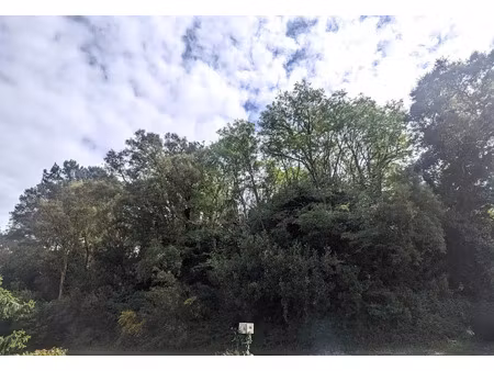 vente terrain à tarnos (40220)  108 040 €
