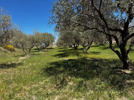 vente terrain 2500 m² à vagnas (07150)  110 000 €