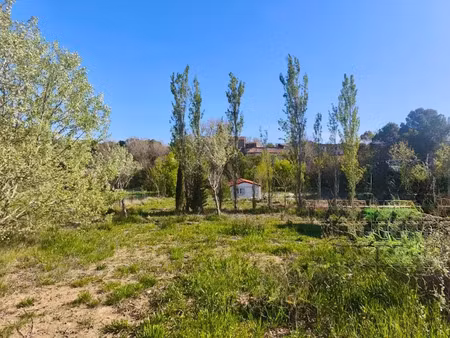 vente terrain 2940 m² à albas (11360)  77 000 €