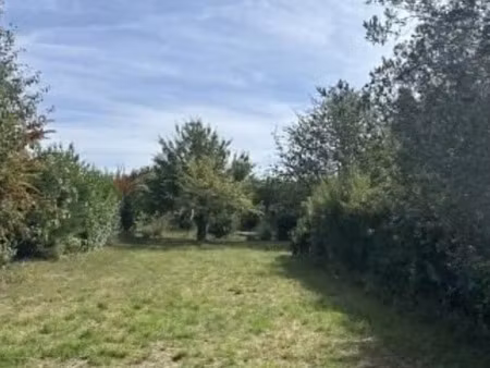 vente terrain 468 m² à saintry-sur-seine (91250)  139 000 €
