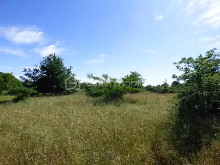 vente terrain 1598 m² à saint-jean-de-marsacq (40230)  135 850 €