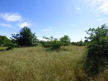 vente terrain 1598 m² à saint-jean-de-marsacq (40230)  169 000 €