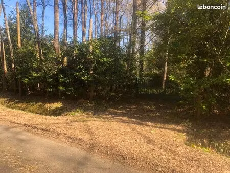terrain de loisirs 3000m2 clos + abris de jardin 10m2