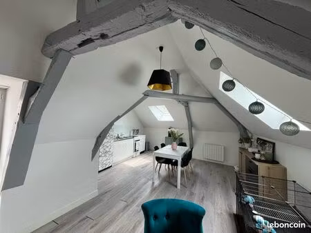 appartement de charme lumineux