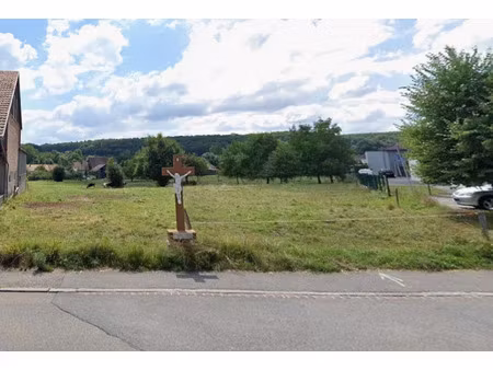 vente terrain 1534 m² à hagenthal-le-bas (68220)  285 000 €