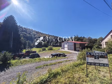 vente locaux professionnels 1 pièce 149 m² à philippsbourg (57230)  186 000 €