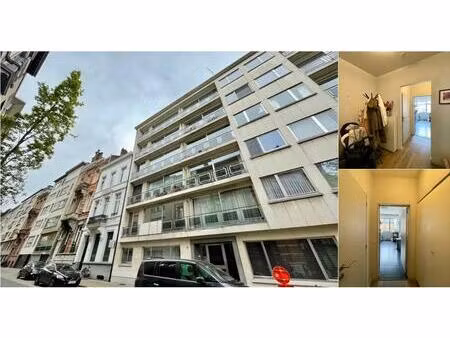 appartement à louer à gounodstraat 13 anvers (rbv88050)