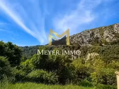 vente locaux professionnels 10 pièces 185 m² à la trinite (06340)  1 200 000 €