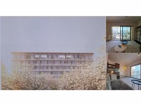 appartement à louer à roland verhavertpad 63 anvers (rbv88105)