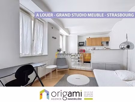grand studio meublé situé en arrière cour d'un immeuble de caractère