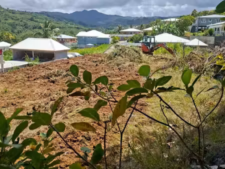 beau terrain plat de 592 m² à saisir