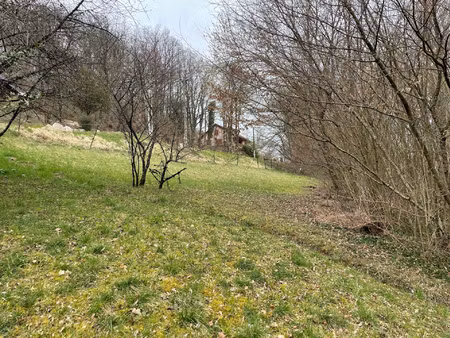 terrain constructible 1118 m2 pont de roide vermondans