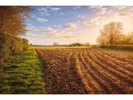 beau terrain à bâtir avec parcelle agricole à l'arrière