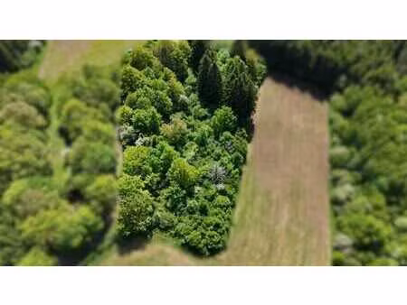 très joli terrain agricole