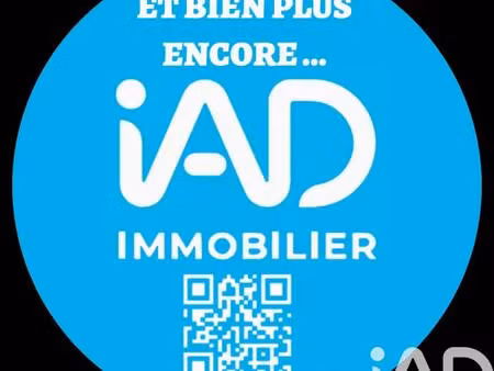 iad france mickael vermeersch