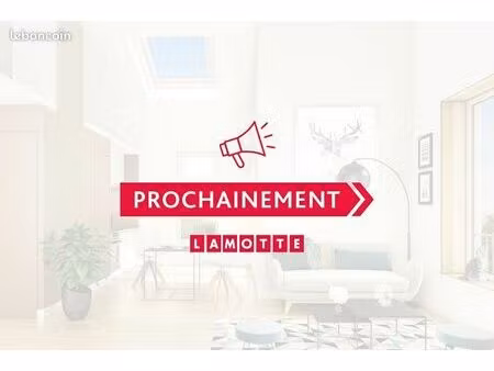 appartement - 2 pièces - coco - prochainement