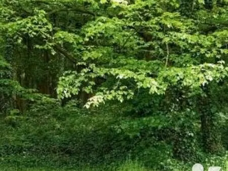 terrain 2690 m² landricourt