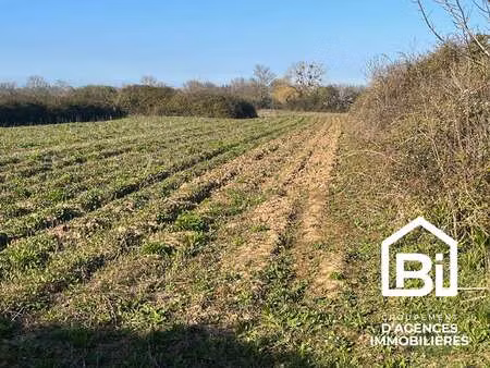 vente terrain à hermanville-sur-mer (14880) : à vendre / 16130m² hermanville-sur-mer